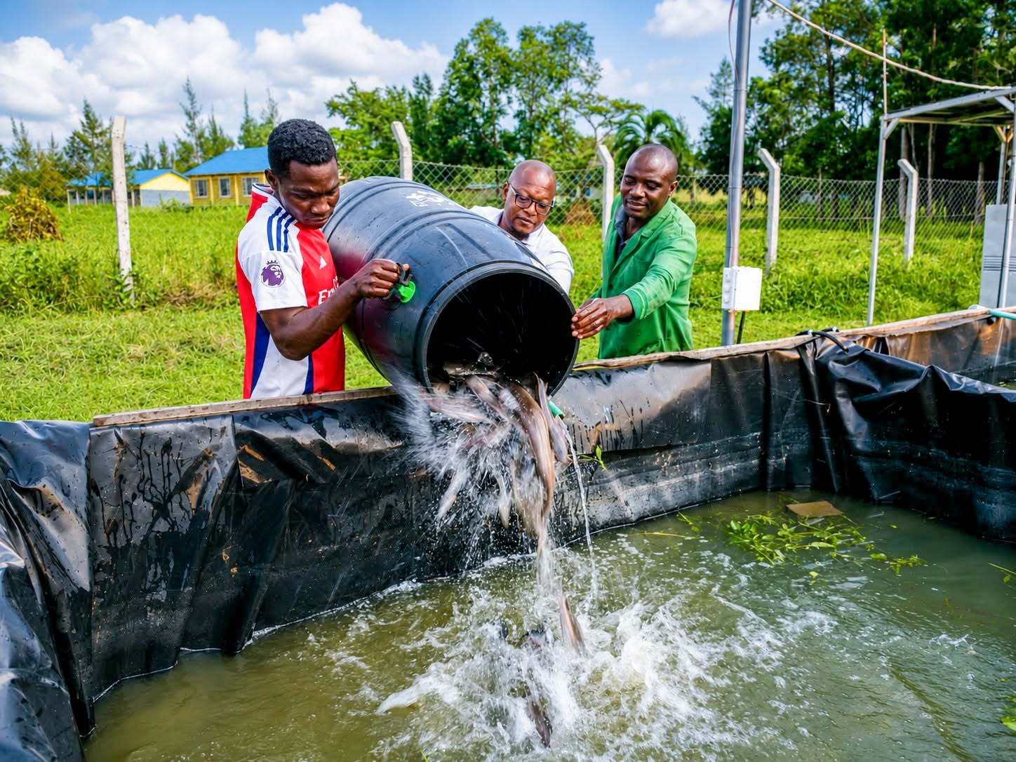 Farmers in a USTADI-supported cassava value chain project