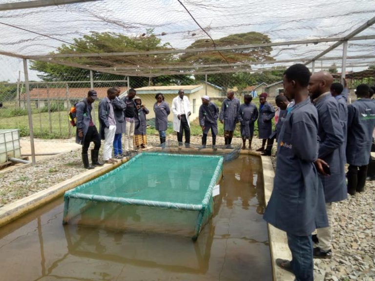 Youth participants at a VIJABIZ agribusiness training session in Kilifi or Nakuru County