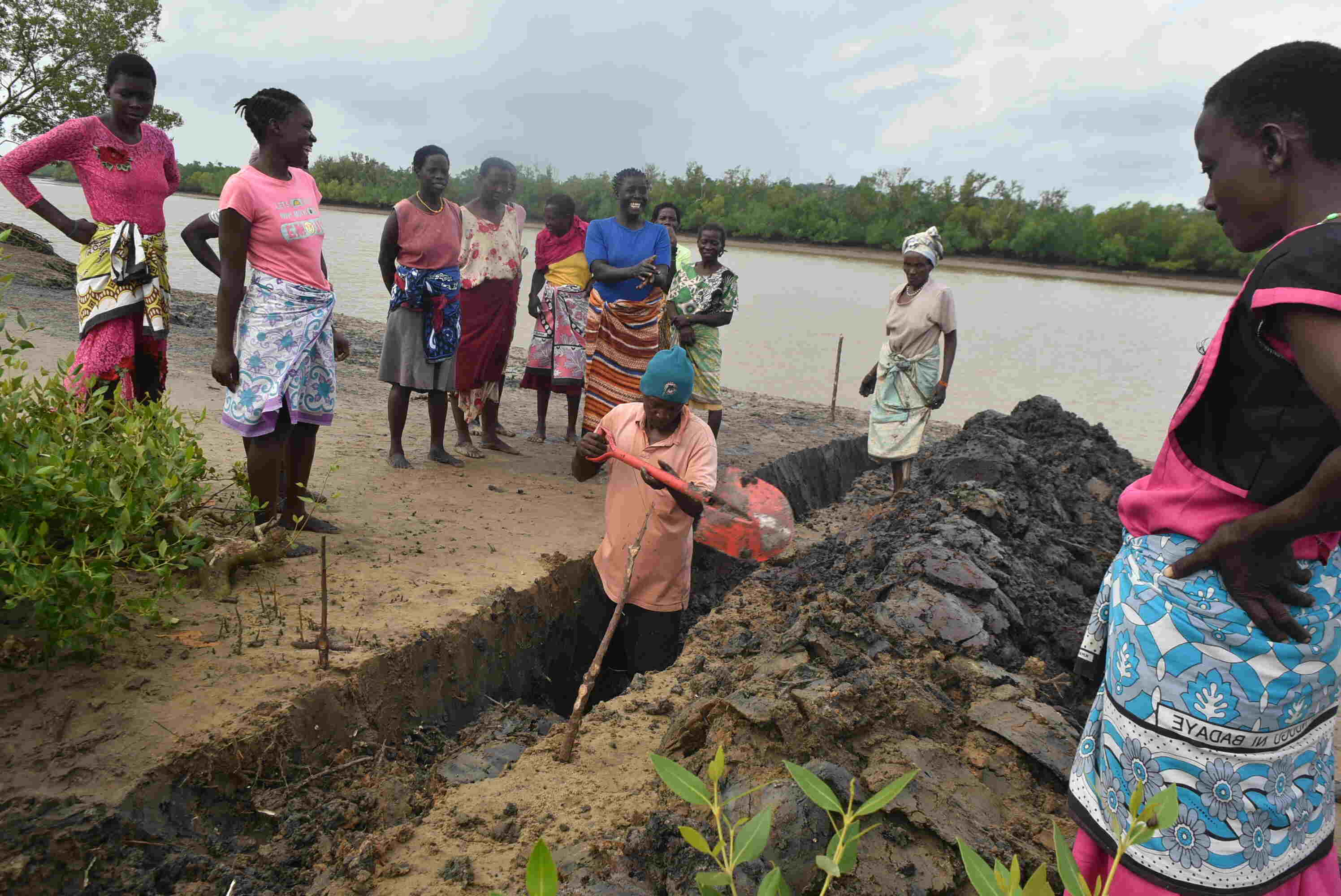Fish Value Chain